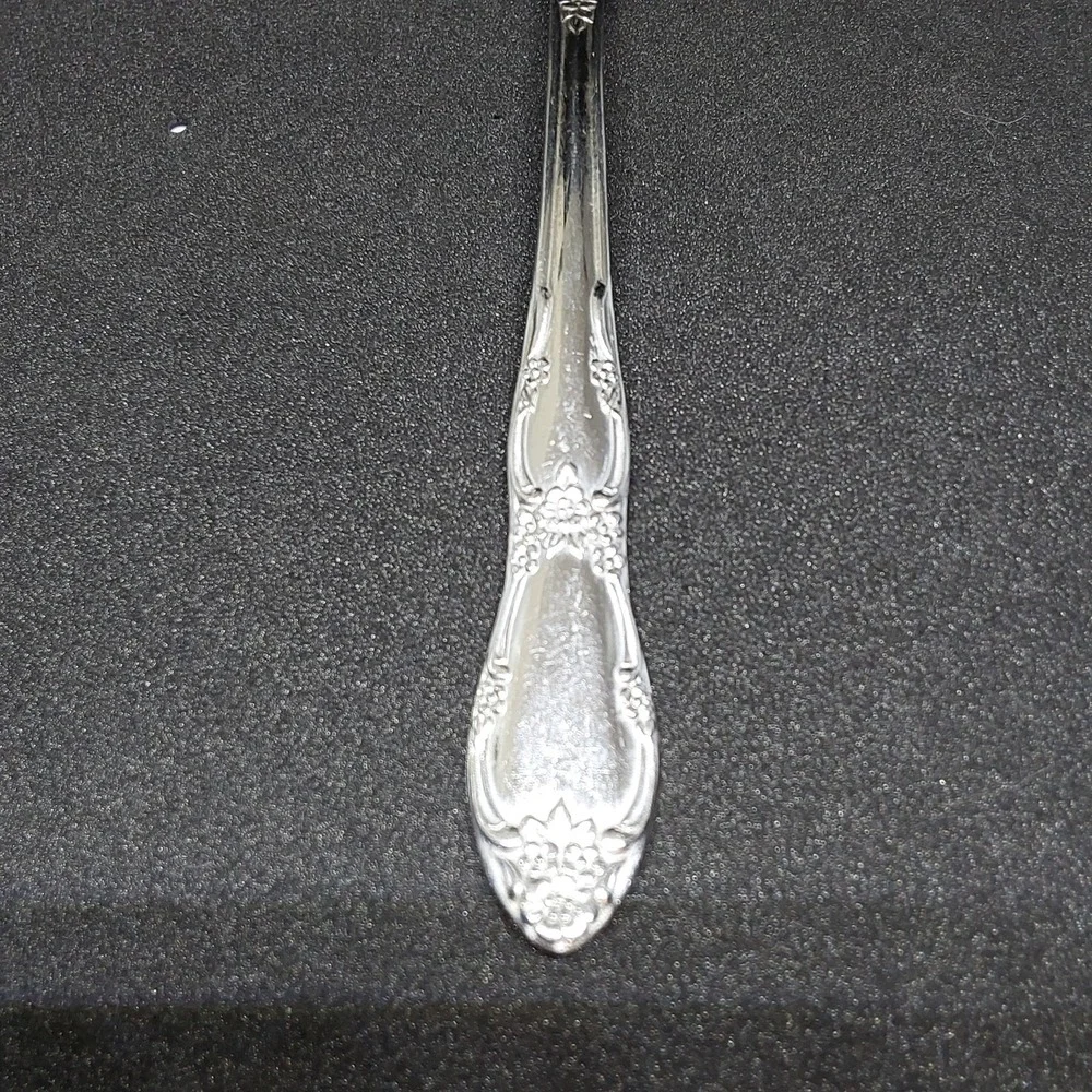 Wm A Rogers Oneida‎ Fenway Daydream Stainless Flatware Sugar Spoon